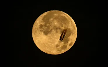 Quiz Test de personnalit�