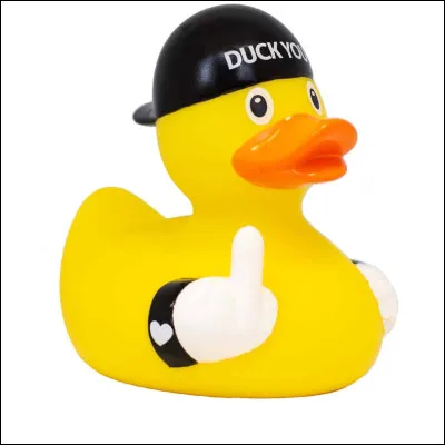 Un canard s'est d&eacute;j&agrave; fait flasher par un radar car il roulait &agrave; 52km/h...