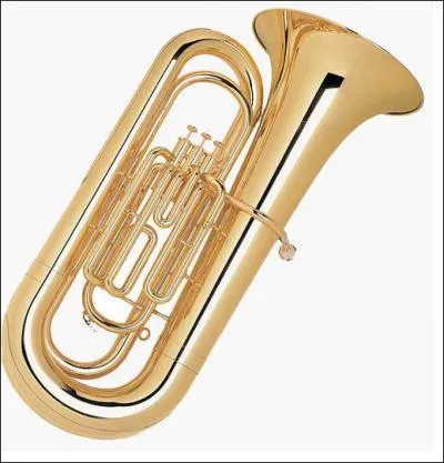 Quel est cet instrument ?
