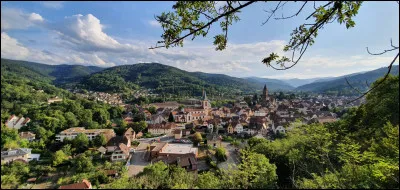 Des moines irlandais venus au VIIe si&egrave;cle &eacute;vang&eacute;liser l'Alsace ont fond&eacute; une abbaye. Pr&egrave;s de quelle ville actuelle se sont-ils install&eacute;s ?