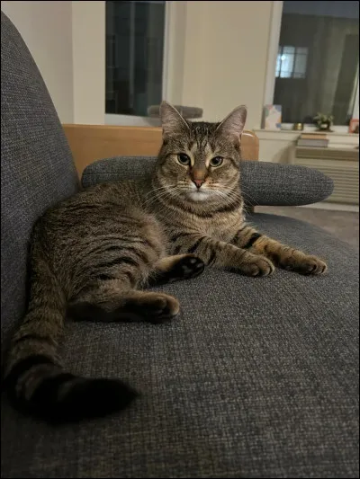 Et qui est le deuxi&egrave;me chef apr&egrave;s &Eacute;toile du Tonnerre ?