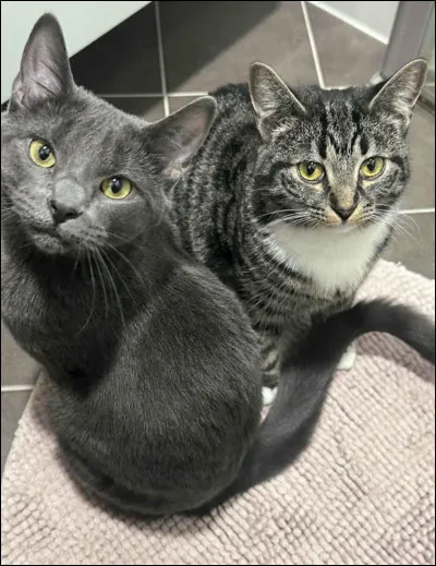 Qui est la sixi&egrave;me meneuse ?