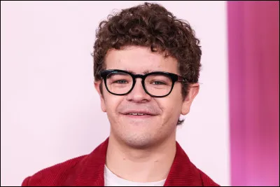 Comment s�appelle l�acteur qui interpr&egrave;te Dustin ?