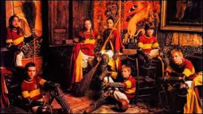 Pendant le match de Gryffondor contre Serpentard, combien y a-t-il de p&eacute;naltys en faveur de Gryffondor ?