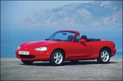 Quel est le nom de ce mod&egrave;le ?