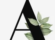 Quiz Tous commencent par A !