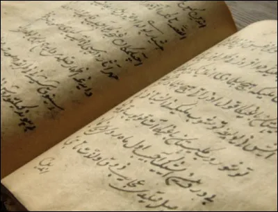 Ce livre est &eacute;crit en�