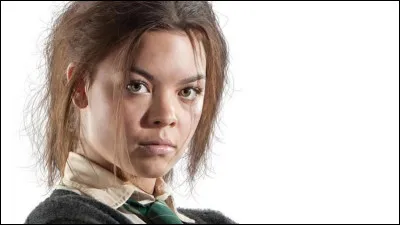 Top 3, Pansy Parkinson, de qui et elle secr&egrave;tement amoureuse ?