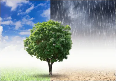 Quel temps pr&eacute;f&egrave;res-tu ?