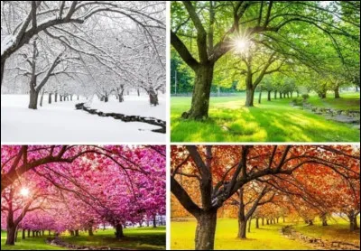 Quelle est ta saison super extra ?