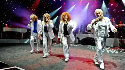 Quel est ce groupe qui interpr&egrave;te le titre ''La Chenille'' ?