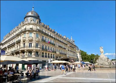Lorsque vous arrivez &agrave; Montpellier, vous voyez en centre ville de nombreux jeunes et &eacute;tudiants. Il s�agit de l�une des villes les plus jeunes de France. On consid&egrave;re que...