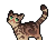 Quiz LGDC~ Qui est ce chat ?