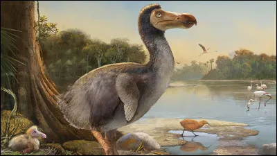 Quelle &icirc;le de l'oc&eacute;an Indien est le seul endroit au monde o&ugrave; l'on pouvait autrefois croiser le dodo, cet oiseau incapable de voler disparu au XVIIe si&egrave;cle ?
