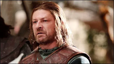 Comment s�appelle le fr&egrave;re a&icirc;n&eacute; de Eddard Stark ?