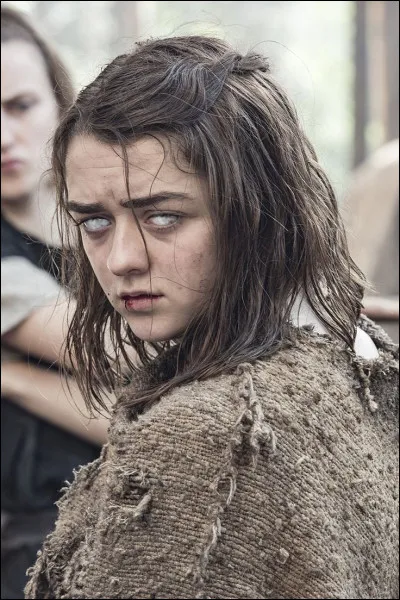 Dans quelle cit&eacute; libre Arya rejoint-elle les Sans-Visage ?