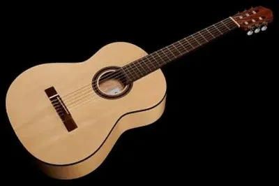 Quel est ce type de guitare ?