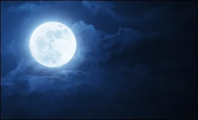 D&egrave;s qu'elle f&ucirc;t partie , tu partis &agrave; ton tour, dans les bois , une id&eacute;e en t&ecirc;te : mais quelle id&eacute;e ?