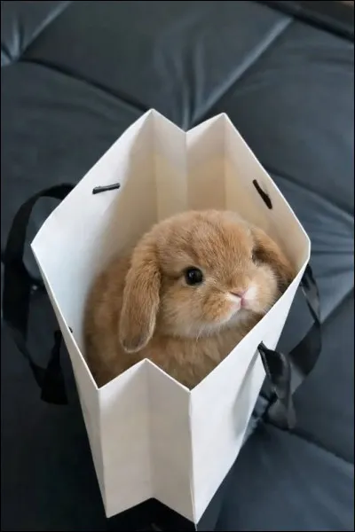 Si je te disais que pour &ecirc;tre vraiment heureux/heureuse, tu devrais supprimer tous tes r&eacute;seaux sociaux, que ferais-tu ?