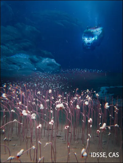 Quelle est la plus profonde fosse oc&eacute;anique connue &agrave; ce jour &eacute;tant l'endroit le plus profond de la cro&ucirc;te terrestre ?