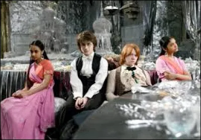 Avec qui Harry va-t-il au bal ?