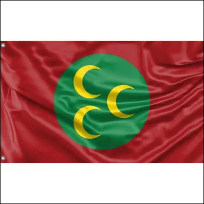 Lors de quel si&egrave;cle le pr&eacute;d&eacute;cesseur de Soliman le Magnifique adopta-t-il ce drapeau pour l'empire ottoman ?