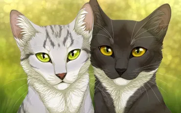 Quiz Test de personnalit�