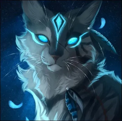 Ton gu&eacute;risseur a-t-il un pouvoir ?