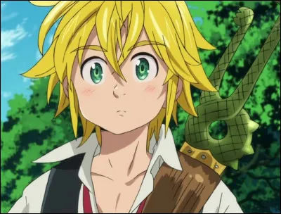 Qui est le fr&egrave;re de Meliodas ?