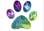 Test Quel chat es-tu dans la Guerre des Clans ?