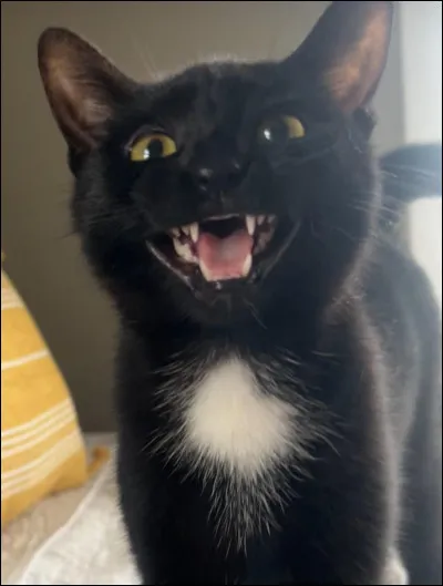 Tu es un gars ou une fille ?