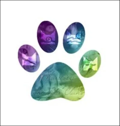 De quel clan voudrais-tu faire partie ?