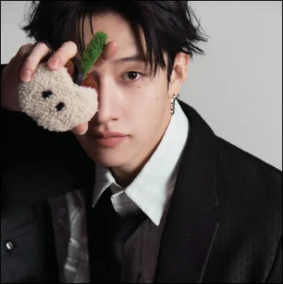 Qui est le leader du groupe ?