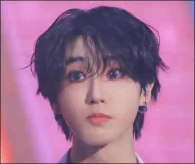 Qui est associ&eacute; au quokka ?