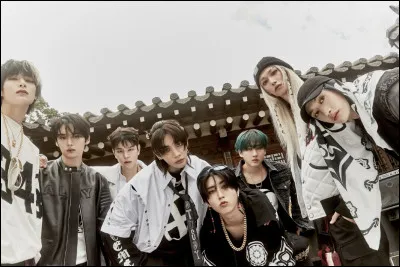 Avec combien de membres le groupe de K-pop Stray Kids a-t-il d&eacute;but&eacute; ?