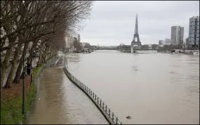 En quelle ann&eacute;e a eu lieu la grande crue de la Seine &agrave; Paris ?