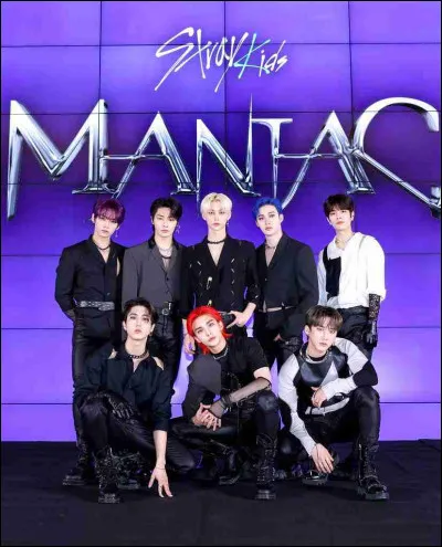 "MANIAC" de Stray Kids explique qu'&ecirc;tre soi-m&ecirc;me aujourd'hui, c'est &ecirc;tre critiqu&eacute; par tout le monde, &ecirc;tre "bizarre", "anormal". Elle explique que peu importe ce que disent les gens, il faut rester comme on est ! Tu peux terminer les paroles ?"You cannot stop with...".