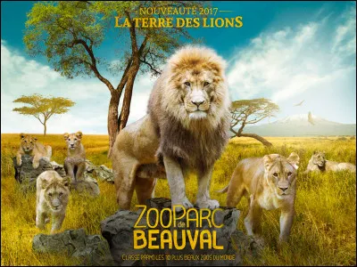 Th&egrave;me 1 : Le lieu du zoo !1- O&ugrave; se situe le zoo ?