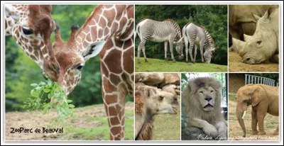 Th&egrave;me 2 : Les animaux du zoo !1- En 2016, combien y-a-t-il de mammif&egrave;res dans le zoo ?