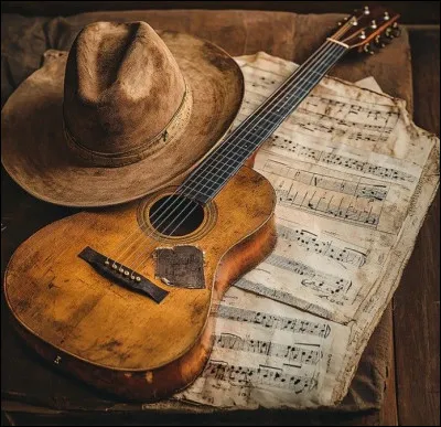 Qui chante en 1969 "Avec ma gueule de m&eacute;t&egrave;que, de juif errant, de p&acirc;tre grec et mes cheveux aux quatre vents" ?