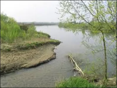 La Gueule est une rivi&egrave;re, affluent de la Meuse. Dans quels pays coule-t-elle ?