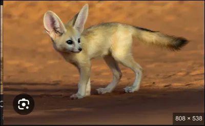 En quelles ann&eacute;es les a-t-elle gagn&eacute;s ?