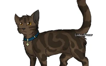 Quiz La guerre des clans