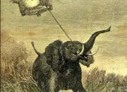 Quiz Voyages extraordinaires avec Jules Verne (2/6)