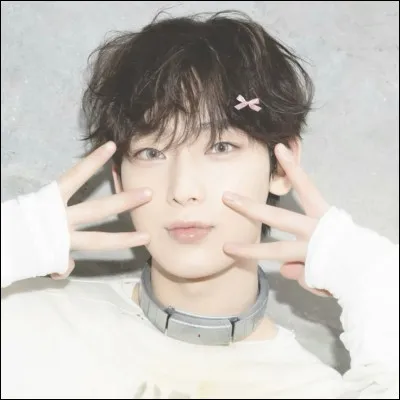 Quel &acirc;ge a-t-il ?