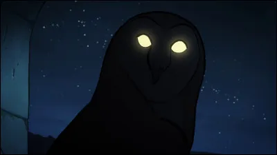 Une voyante te propose de r&eacute;pondre &agrave; une de tes questions, que lui demandes-tu ?