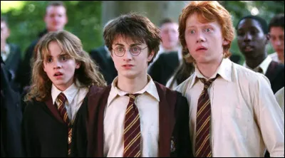 Quel est ton personnage pr&eacute;f&eacute;r&eacute; dans Harry Potter (Si le tien n'est pas dans les propositions suivantes, prends celui que tu aimes le plus entre ces 4 l&agrave;)