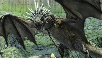 Quelle est la cr&eacute;ature fantastique que tu pr&eacute;f&egrave;res ?