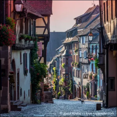 Prochain arr&ecirc;t : Riquewhir, dans l�est de la France (68), o&ugrave; les visiteurs admirent les fa&ccedil;ades alsaciennes color&eacute;es. Cette ville se situe dans le...