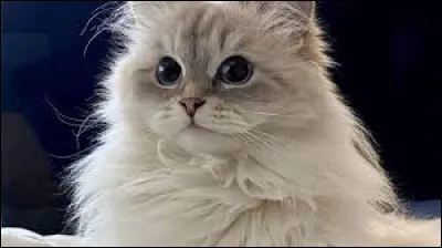 Veux-tu qu�il ait quelque chose de sp&eacute;cial ?